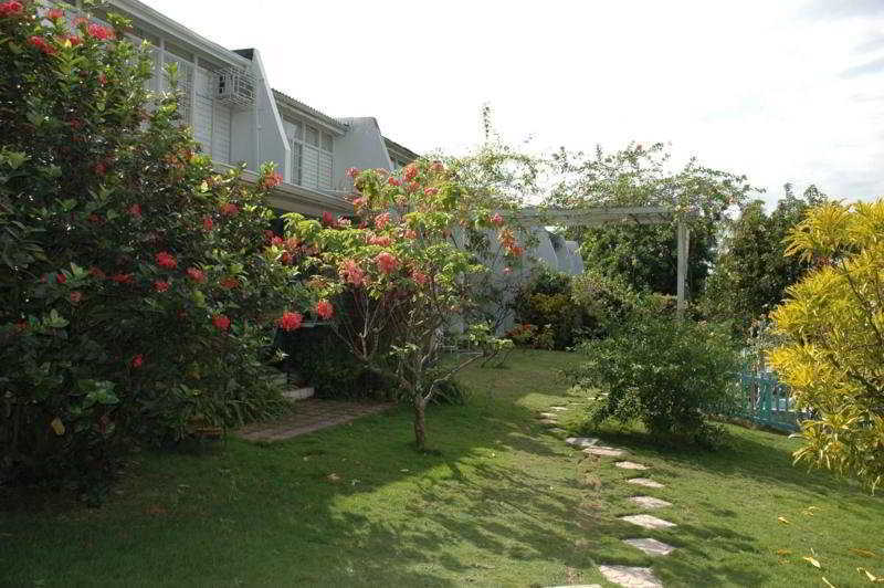 The Gardens Villa Kingston Eksteriør bilde